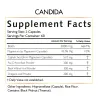 Candida | Coco March