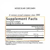 Molecular Curcumin | Coco March